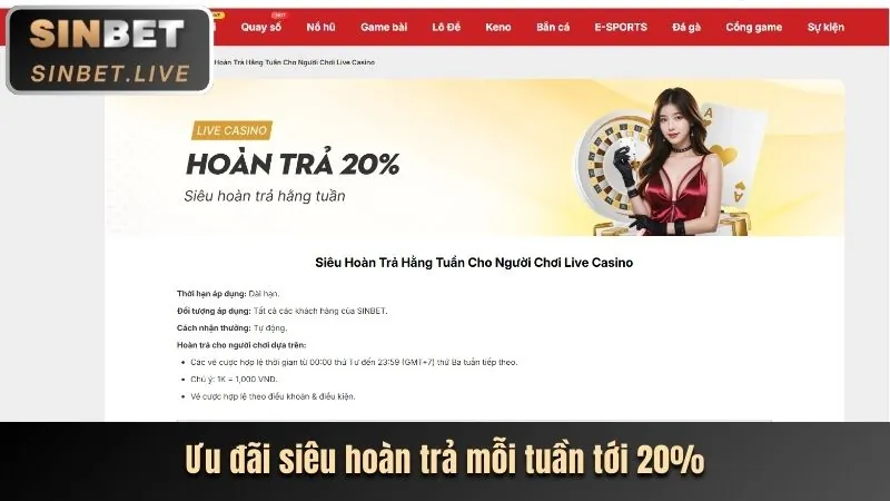 Tổng quan về Điều khoản dịch vụ của 8us casino